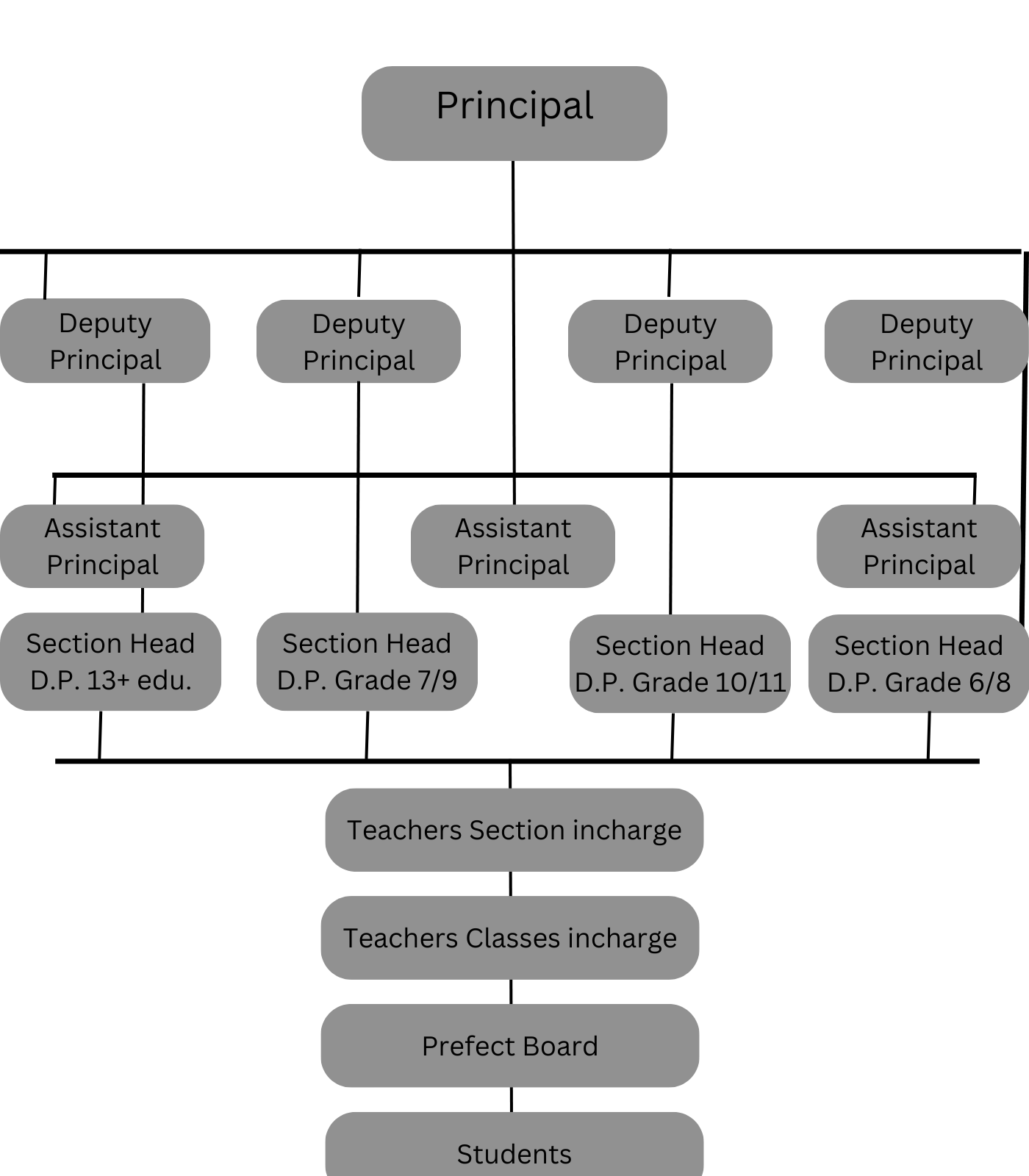 management structure